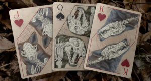 3cardspreadcourt rebirth