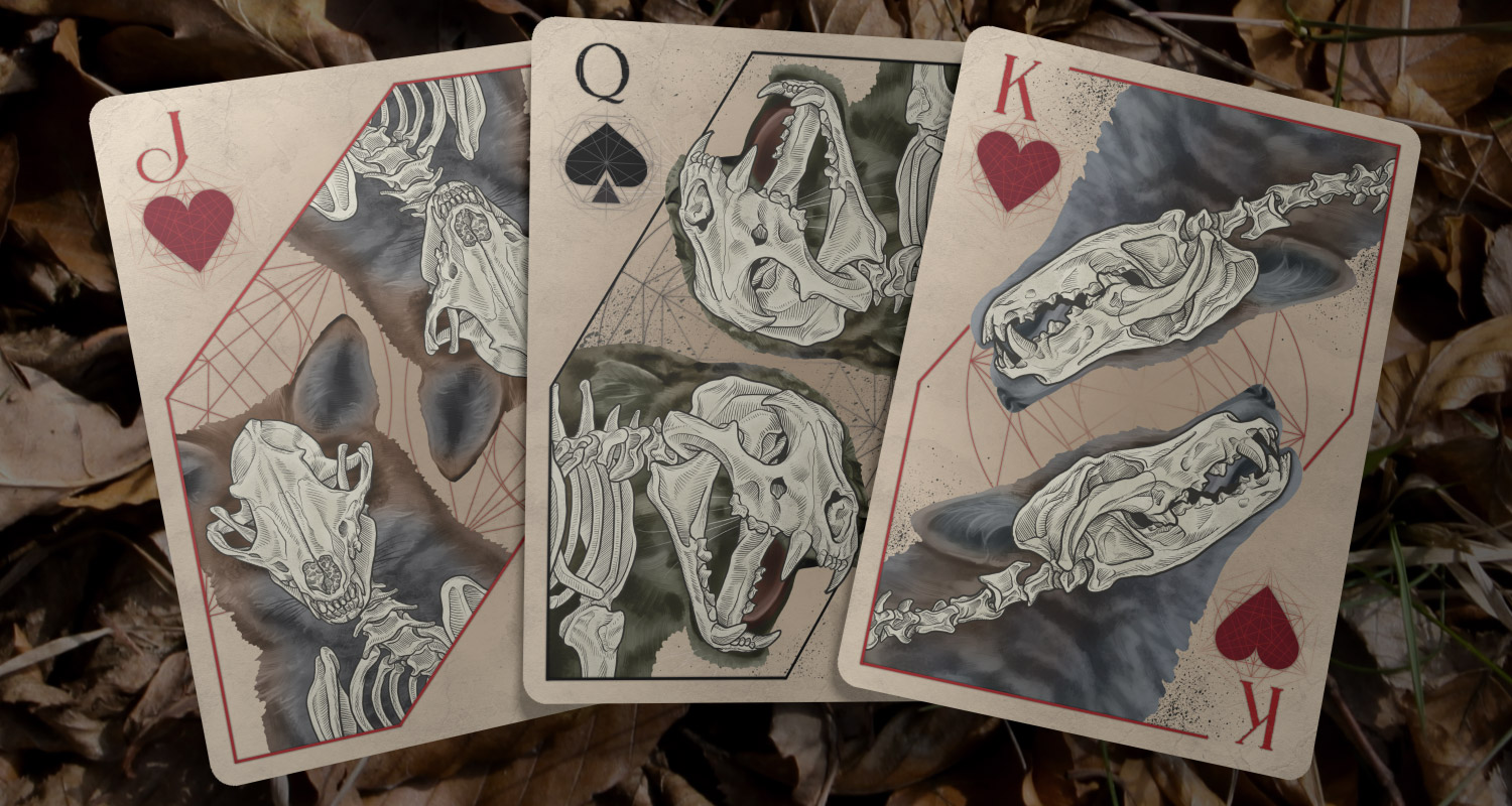 3cardspreadcourt rebirth
