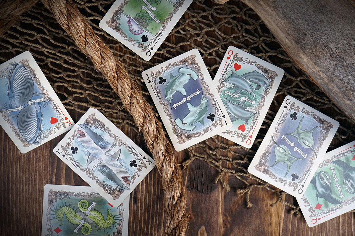csc cards