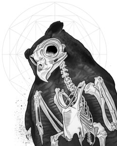 hornedowl 8x10