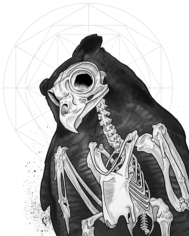 hornedowl 8x10